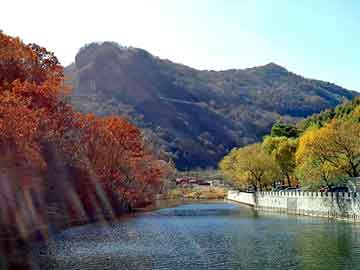 新澳天天开奖资料大全旅游团，康师傅地沟油事件